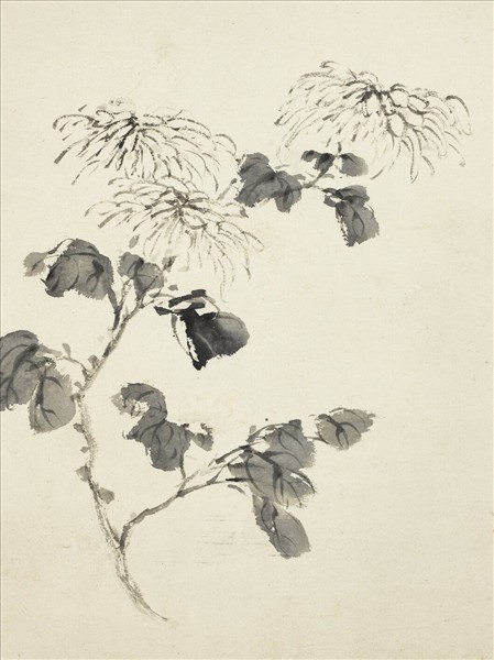 清湯貽汾黃花　軸