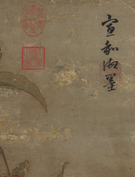 宋徽宗荔枝圖　軸