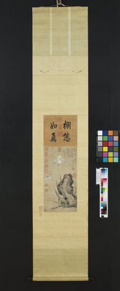 宋揚无咎畫蝴蝶花　軸