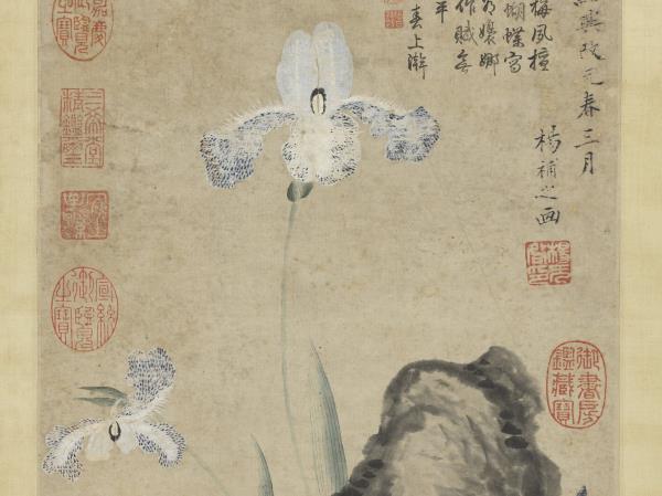 宋揚无咎畫蝴蝶花　軸