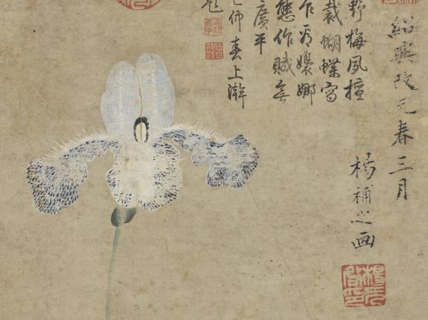 宋揚无咎畫蝴蝶花　軸