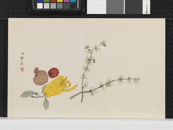 畫花果 冊