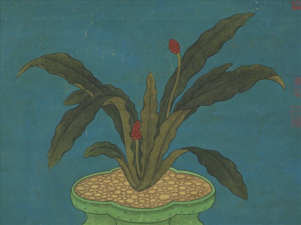 宋人畫萬年青　軸