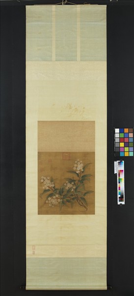 宋人折枝枇杷　軸