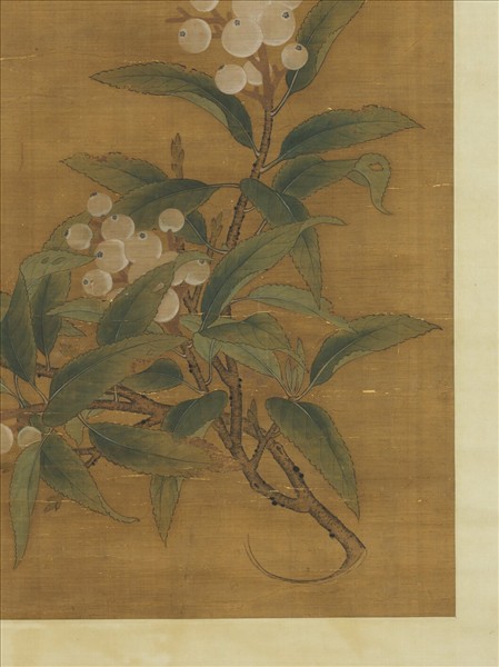 宋人折枝枇杷　軸