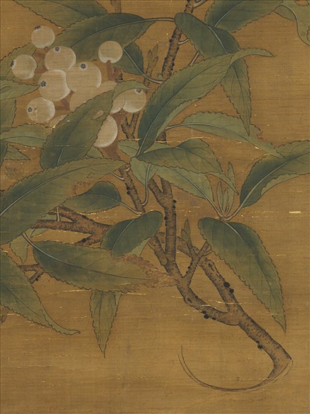 宋人折枝枇杷　軸