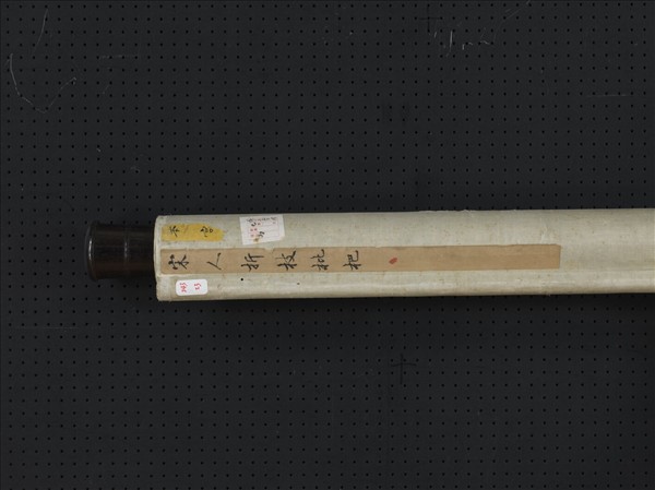 宋人折枝枇杷　軸