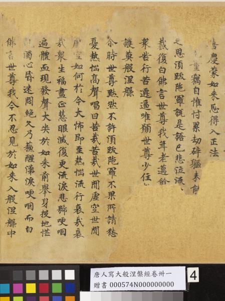 唐人寫大般涅槃經卷卌一  　卷