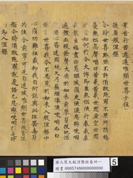 唐人寫大般涅槃經卷卌一  　卷