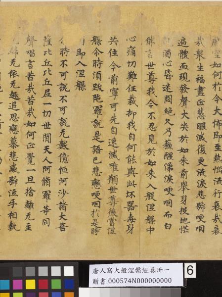 唐人寫大般涅槃經卷卌一  　卷