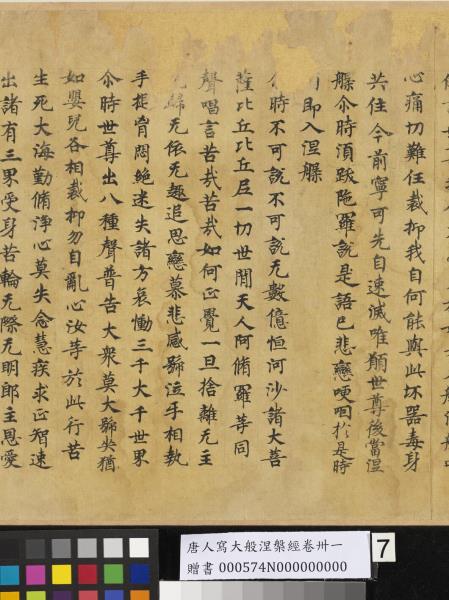 唐人寫大般涅槃經卷卌一  　卷