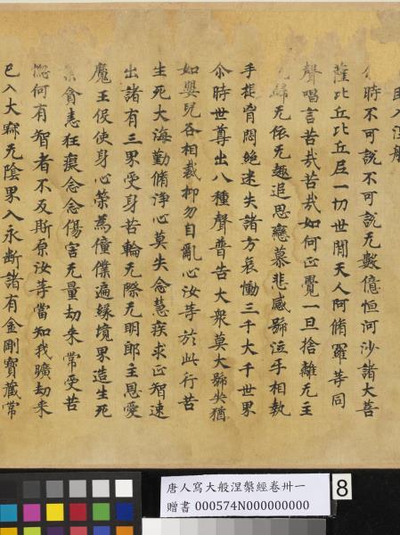 唐人寫大般涅槃經卷卌一  　卷