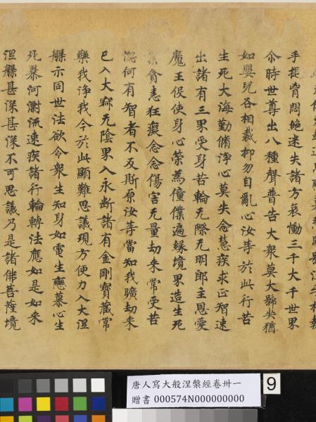 唐人寫大般涅槃經卷卌一  　卷