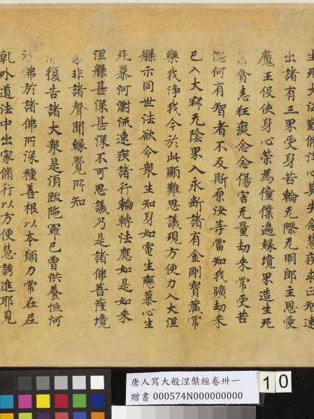 唐人寫大般涅槃經卷卌一  　卷