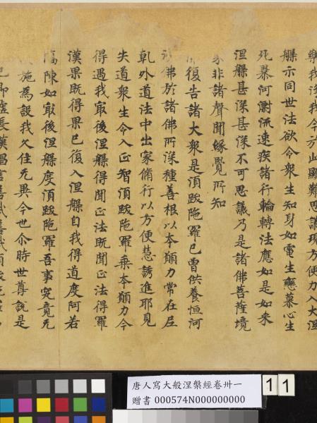 唐人寫大般涅槃經卷卌一  　卷