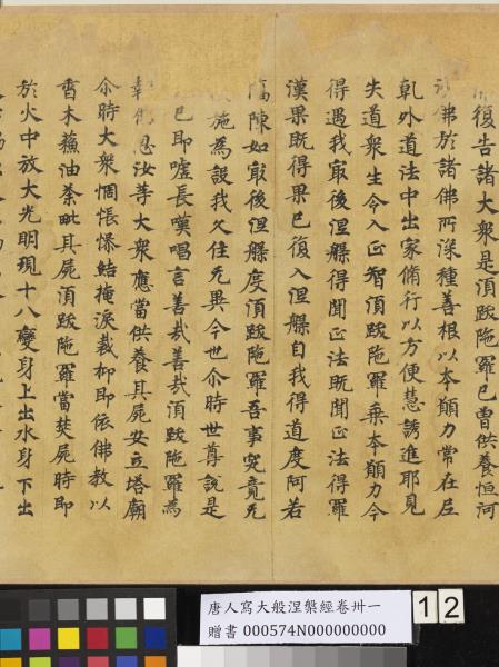 唐人寫大般涅槃經卷卌一  　卷