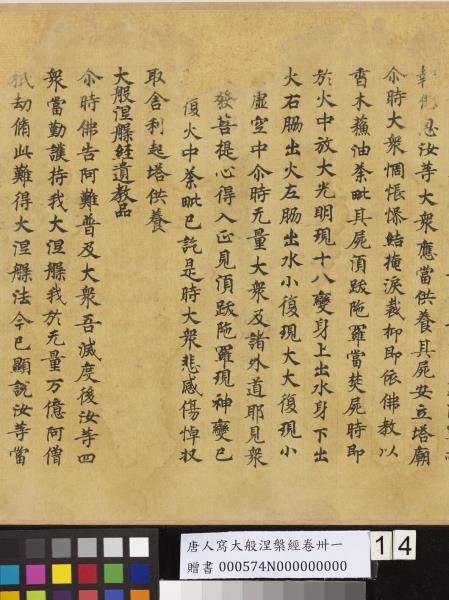 唐人寫大般涅槃經卷卌一  　卷