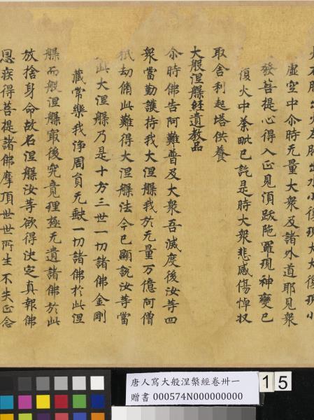 唐人寫大般涅槃經卷卌一  　卷