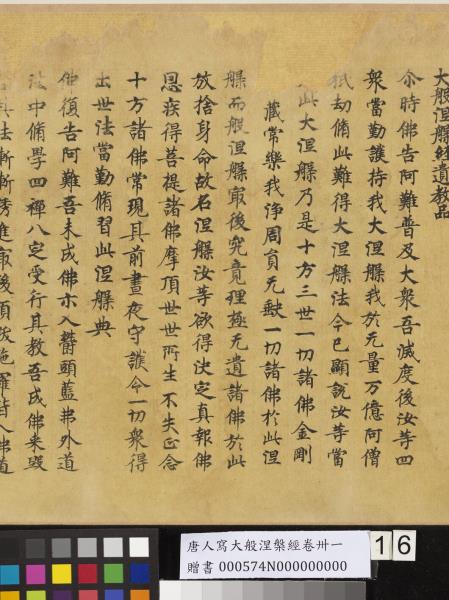 唐人寫大般涅槃經卷卌一  　卷