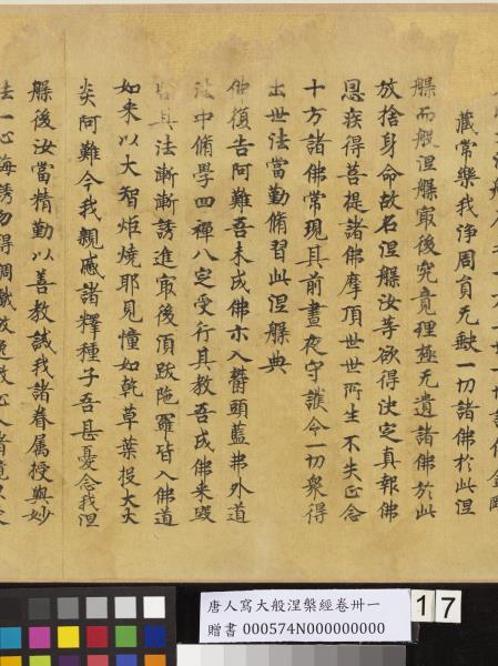 唐人寫大般涅槃經卷卌一  　卷