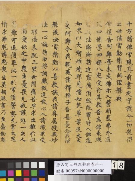 唐人寫大般涅槃經卷卌一  　卷