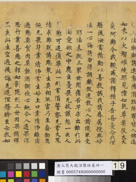 唐人寫大般涅槃經卷卌一  　卷