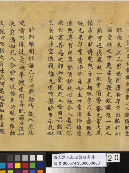 唐人寫大般涅槃經卷卌一  　卷