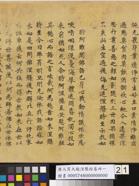 唐人寫大般涅槃經卷卌一  　卷