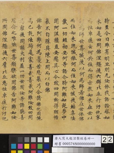 唐人寫大般涅槃經卷卌一  　卷