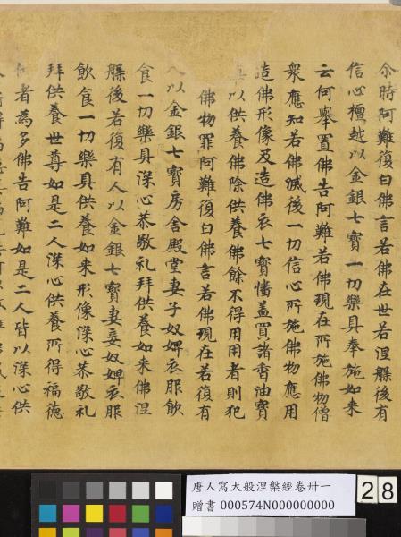 唐人寫大般涅槃經卷卌一  　卷