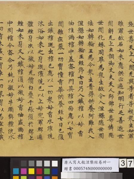 唐人寫大般涅槃經卷卌一  　卷