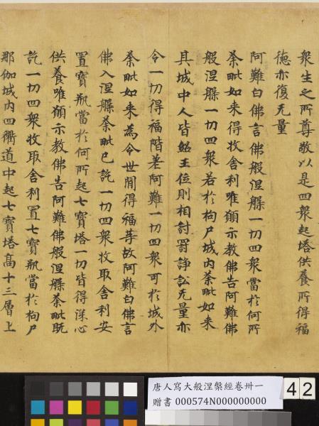 唐人寫大般涅槃經卷卌一  　卷