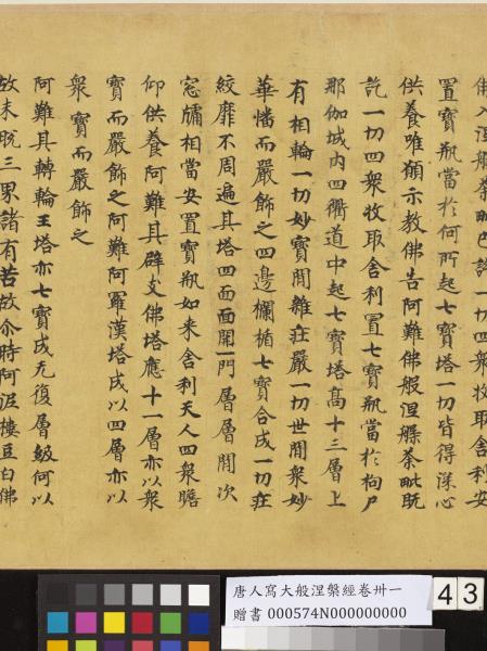 唐人寫大般涅槃經卷卌一  　卷