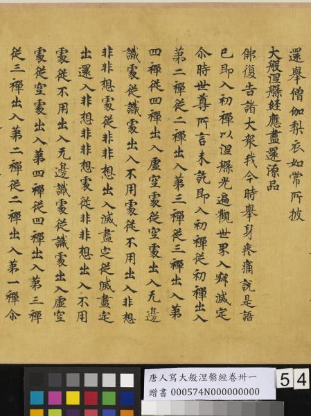 唐人寫大般涅槃經卷卌一  　卷
