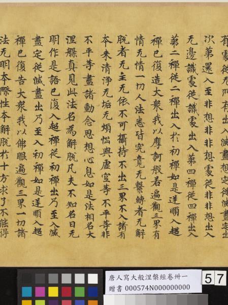 唐人寫大般涅槃經卷卌一  　卷