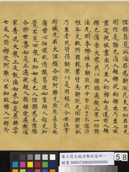 唐人寫大般涅槃經卷卌一  　卷