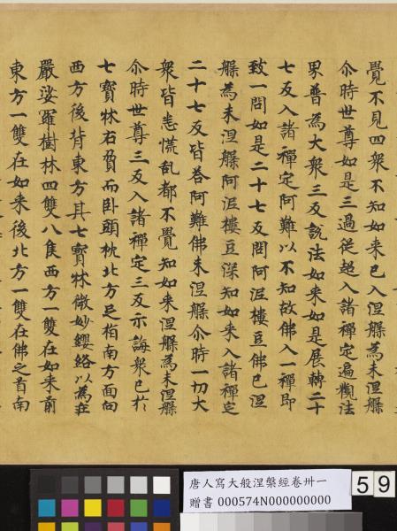 唐人寫大般涅槃經卷卌一  　卷