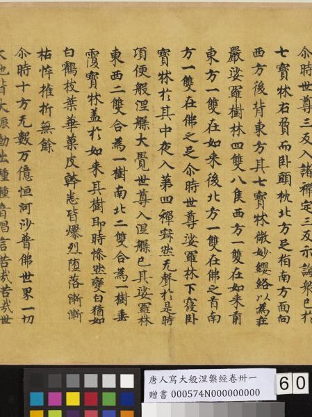 唐人寫大般涅槃經卷卌一  　卷