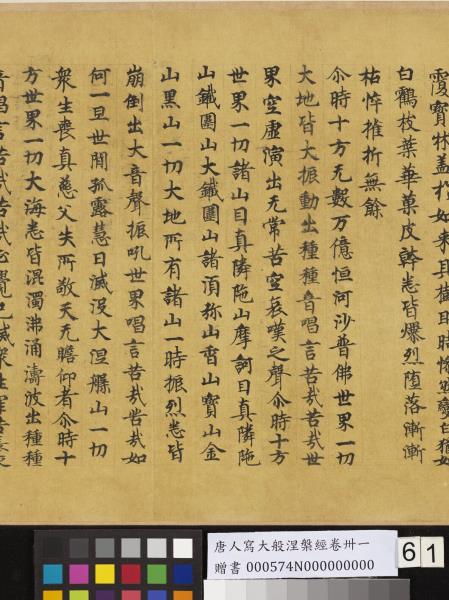 唐人寫大般涅槃經卷卌一  　卷