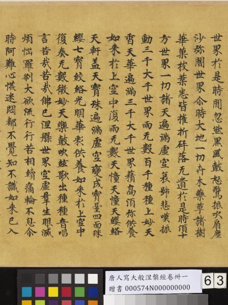 唐人寫大般涅槃經卷卌一  　卷