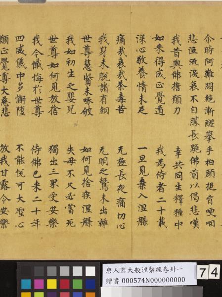 唐人寫大般涅槃經卷卌一  　卷