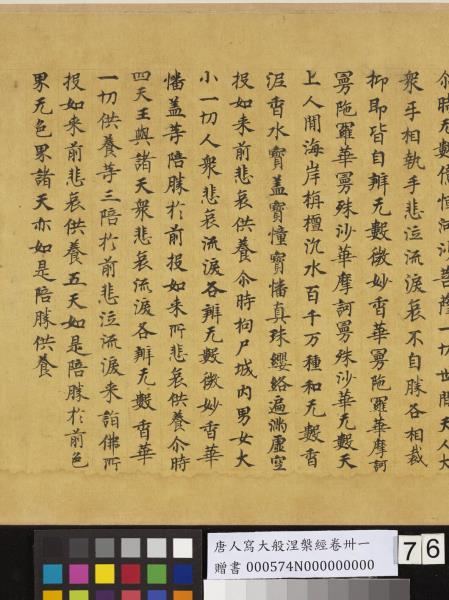 唐人寫大般涅槃經卷卌一  　卷