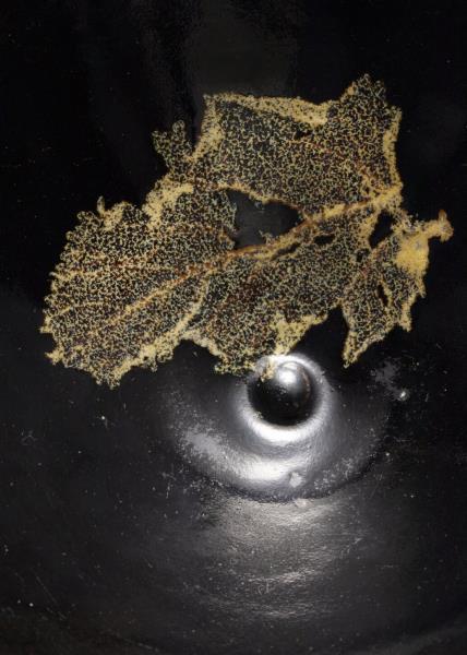 吉州窯 黑釉木葉紋茶盞