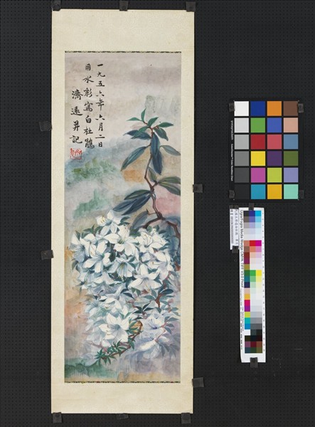 民國王濟遠白杜鵑　單片