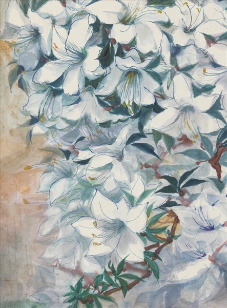 民國王濟遠白杜鵑　單片