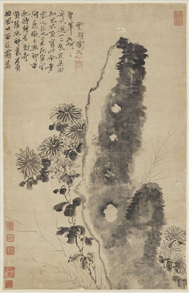 明陶成菊石　軸