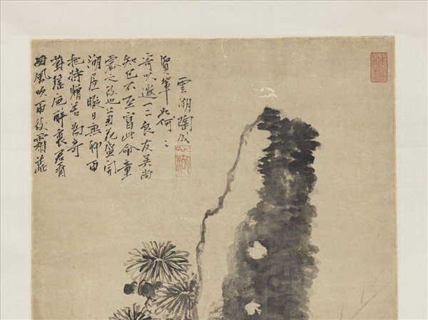 明陶成菊石　軸