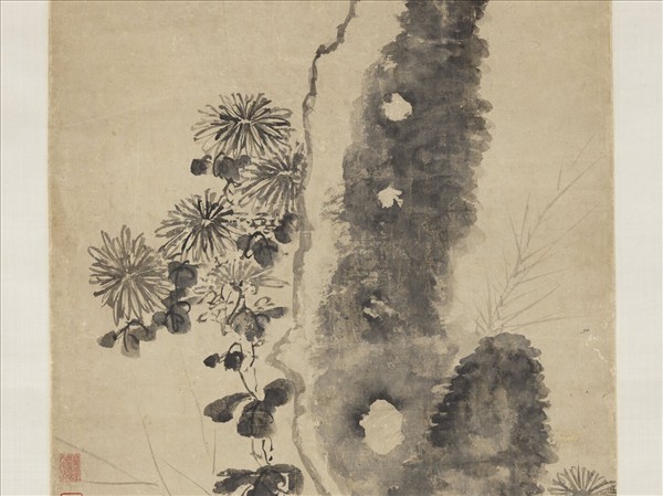 明陶成菊石　軸