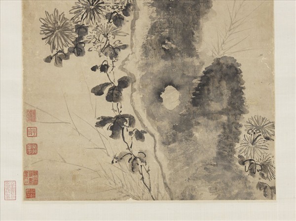 明陶成菊石　軸