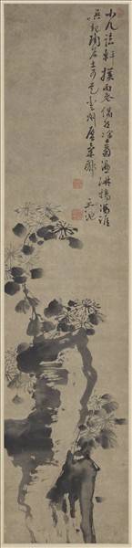 明徐渭菊石　軸